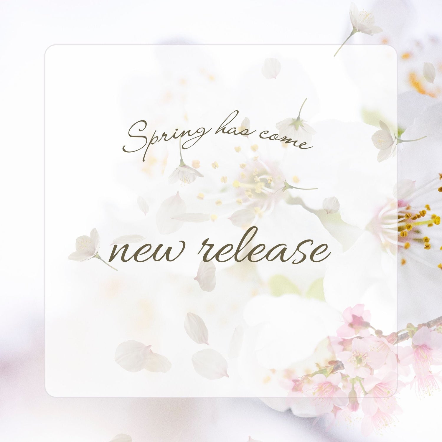 カリグラム　新製品のご紹介💁🏼