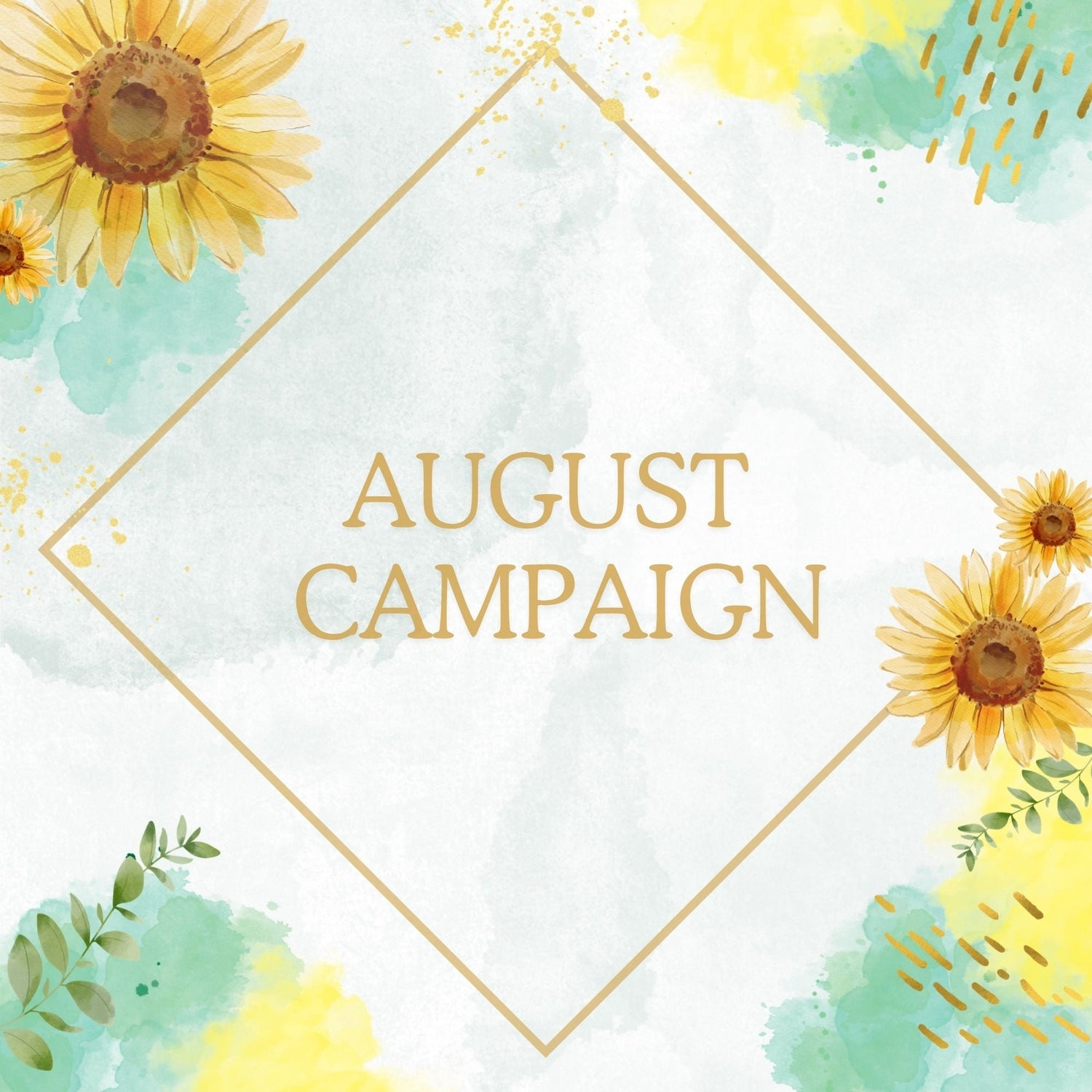 8月キャンペーンのお知らせ🌻