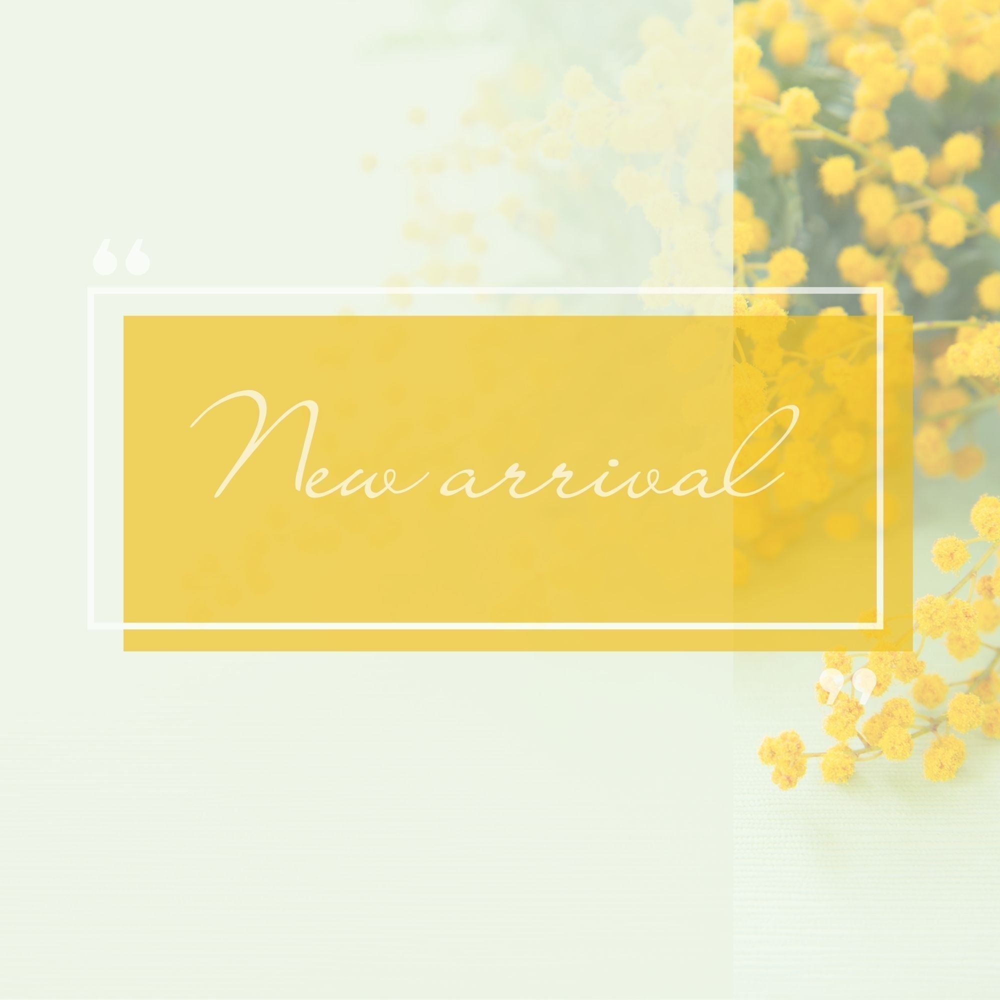 新商品のご案内と、キャンペーンについて💎✨